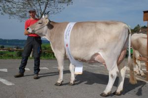 Miss OB Jonas JULIANA von Hanspeter Fluder Schwanden Schwarzenberg
